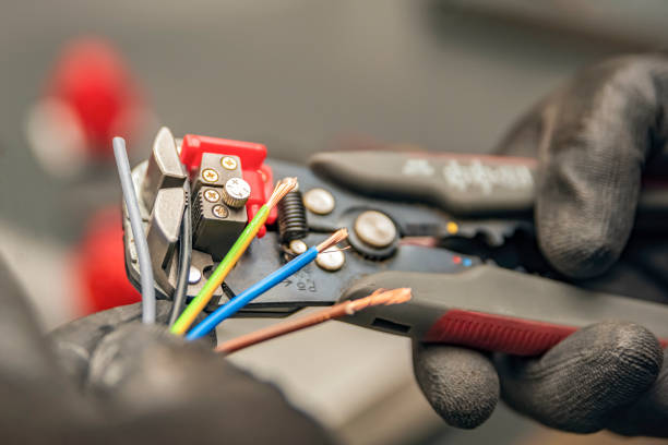Best Home Electrical Repair  in Bishop, TX